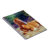 Beauful Horse Colt Notitieboek (Rechterzijde)