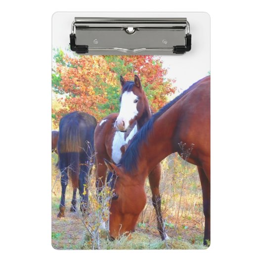 Beauful Horse Mini-klembord Mini Klembord (Voorkant)