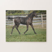 Beauful Horse Prancing Legpuzzel (Horizontaal)