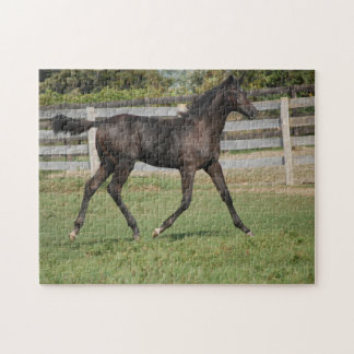 Beauful Horse Prancing Legpuzzel