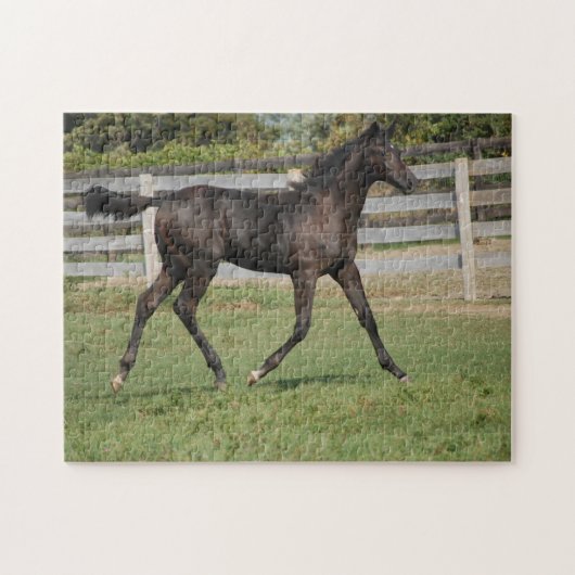 Beauful Horse Prancing Legpuzzel (Horizontaal)