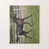 Beauful Horse Prancing Legpuzzel (Verticaal)