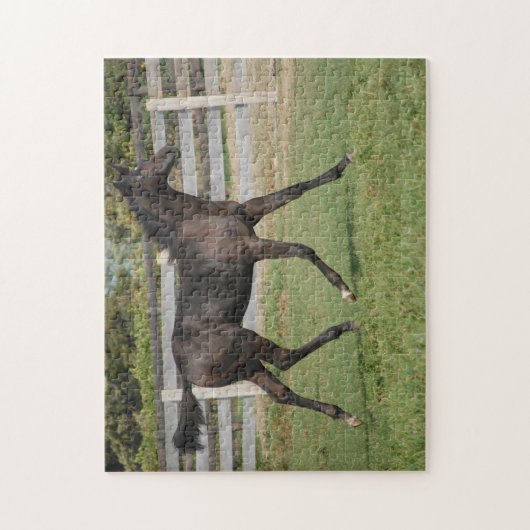 Beauful Horse Prancing Legpuzzel (Verticaal)