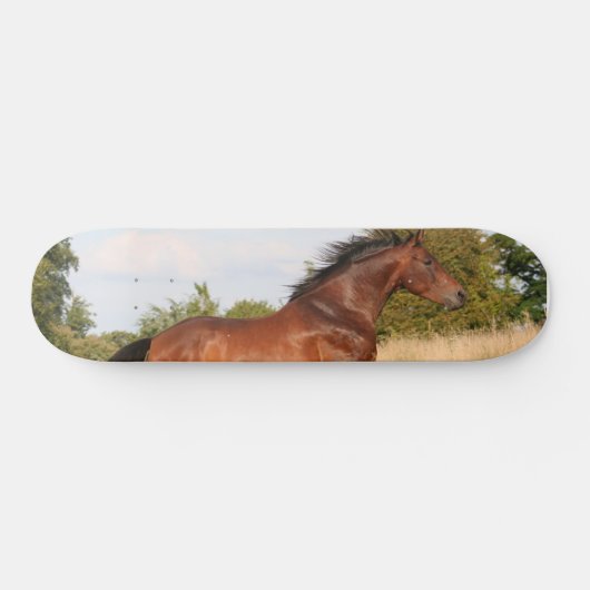 Beauful Horse Skateboard (Horizontaal)