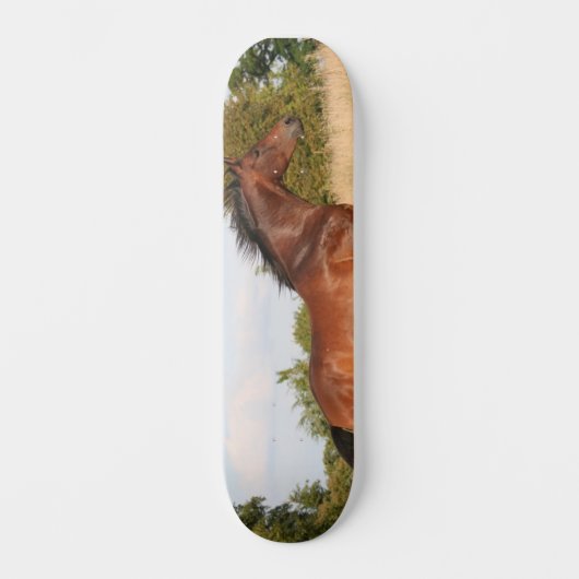 Beauful Horse Skateboard (Voorkant)