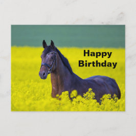 Beauful Horse Yellow Flowers Foto Birthday Briefkaart