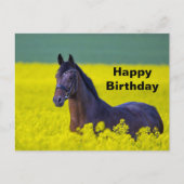 Beauful Horse Yellow Flowers Foto Birthday Briefkaart (Voorkant)