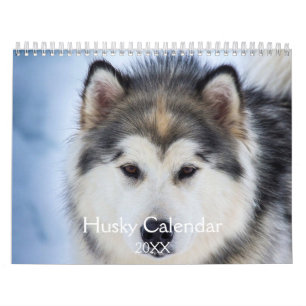 Beauful Husky Dog Kalender