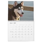 Beauful Husky Dog Kalender (Mar 2027)