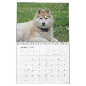 Beauful Husky Dog Kalender (Jan 2027)