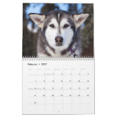 Beauful Husky Dog Kalender (Feb 2027)