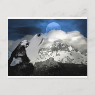 Beauful Husky Holiday Briefkaart