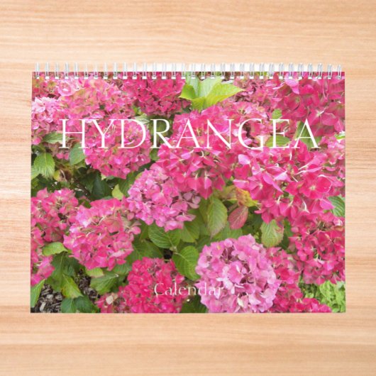 Beauful Hydrangea Blooms Floral Fotografisch Kalender