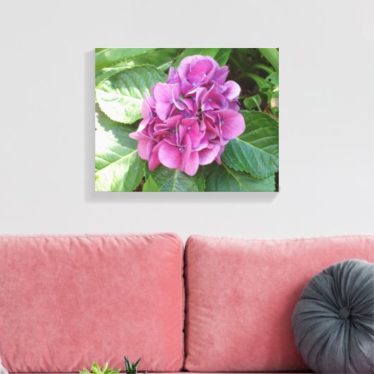 Beauful Hydrangea Canvas Afdruk (Insitu (Woonkamer))