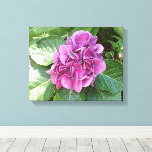 Beauful Hydrangea Canvas Afdruk (Insitu (Houten vloer))