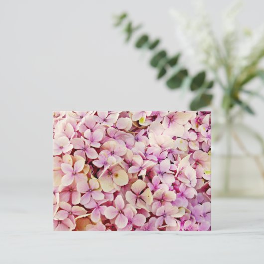 Beauful Hydrangea Flowers Briefkaart (Staand voorkant)