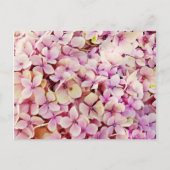Beauful Hydrangea Flowers Briefkaart (Voorkant)