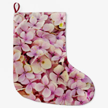 Beauful Hydrangea Flowers