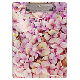 Beauful Hydrangea Flowers Klembord