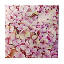 Beauful Hydrangea Flowers Tegeltje