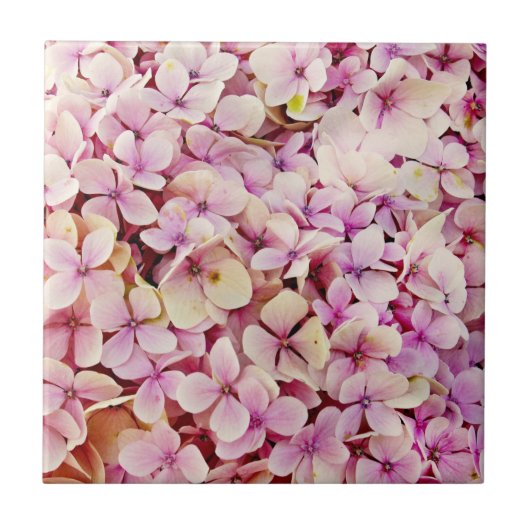 Beauful Hydrangea Flowers Tegeltje (Voorkant)