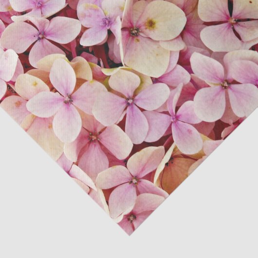 Beauful Hydrangea Flowers Tissuepapier (Detail)