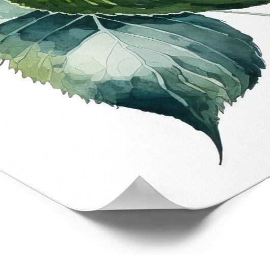 Beauful Hydrangeas-Waterverf Poster (Hoek)