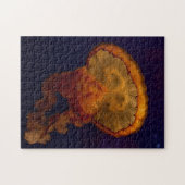 Beauful Jellyfish Foto Puzzle Legpuzzel (Horizontaal)