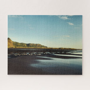 Beauful Karekare Beach Shore Foto Legpuzzel