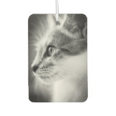 Beauful Kitten Air Freshener Luchtverfrisser (Voorkant)
