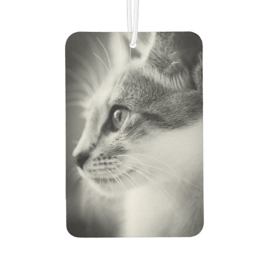 Beauful Kitten Air Freshener Luchtverfrisser (Achterkant)
