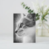 Beauful Kitten Briefkaart (Staand voorkant)