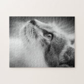 Beauful Kitten Puzzle Legpuzzel (Horizontaal)