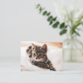 Beauful Kitten Visitekaartje (Staand voorkant)