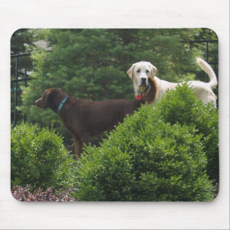 Beauful Labrador-muispad Muismat