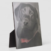 Beauful Labrador Retriever Fotoplaat (Zijkant)