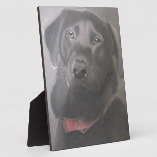 Beauful Labrador Retriever Fotoplaat (Zijkant)