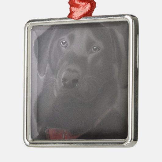 Beauful Labrador Retriever Metalen Ornament (Links)