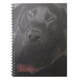 Beauful Labrador Retriever Notitieboek