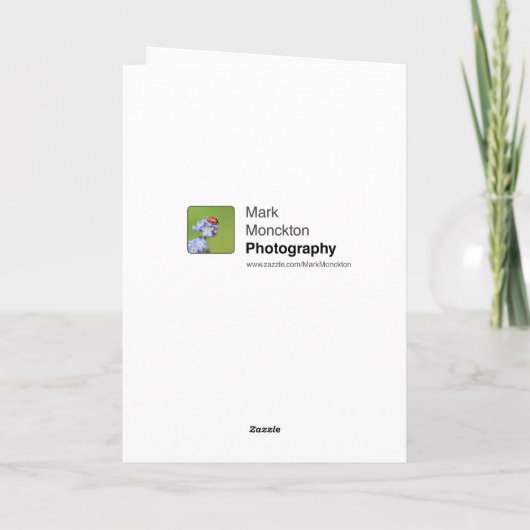 Beauful Ladybug Birthday Kaart (Achterkant)