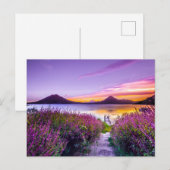 Beauful Lavender Field Uitzicht Mountains Briefkaart (Voorkant / Achterkant)