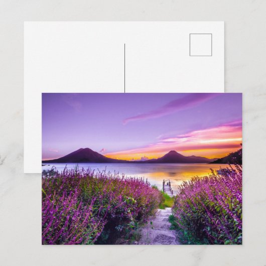 Beauful Lavender Field Uitzicht Mountains Briefkaart (Voorkant / Achterkant)