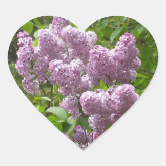 Beauful Lilacs - Floral Photography Hart Sticker