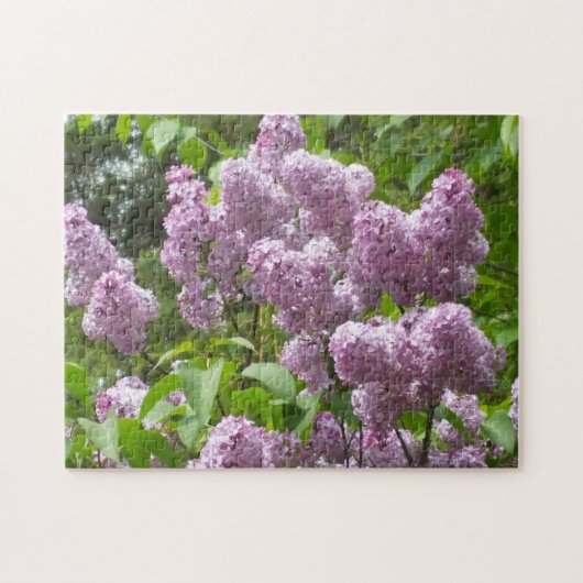Beauful Lilacs - Floral Photography Legpuzzel (Horizontaal)