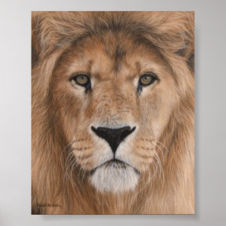 Beauful Lion Head Poster