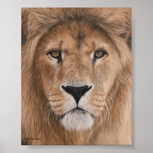 Beauful Lion Head Poster (Voorkant)