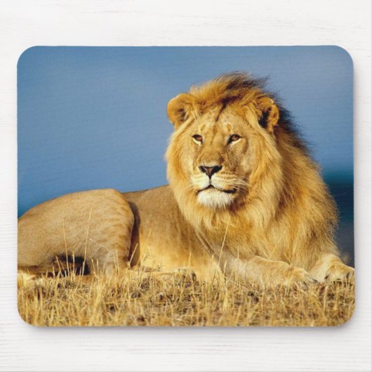 Beauful Lion Mouse Mat Muismat (Voorkant)