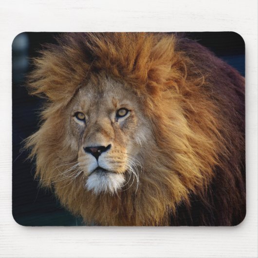Beauful Lion Mouse Mat Muismat (Voorkant)