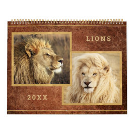 Beauful Lions Photo Afbeelding Calendar Kalender