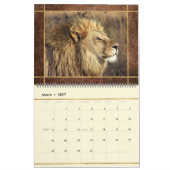 Beauful Lions Photo Afbeelding Calendar Kalender (Mar 2027)